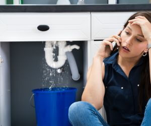 About Plumbers Pros Warwick, ND